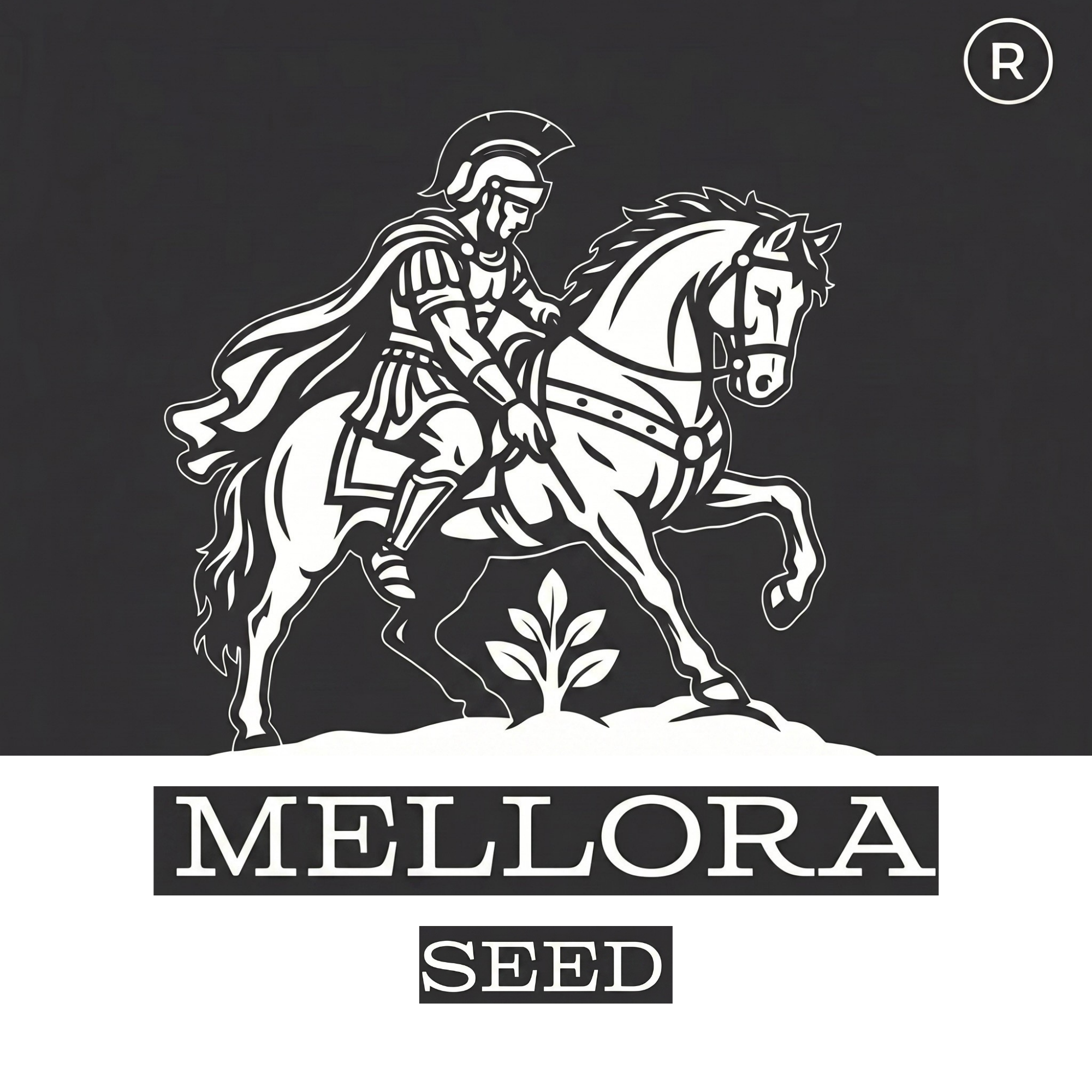 Melloraseed